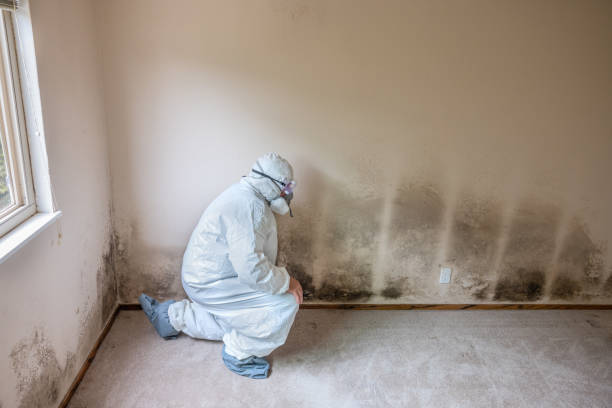 Macedonia, OH Mold Remediation Company
