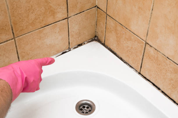 Best Industrial Mold Remediation in Macedonia, OH